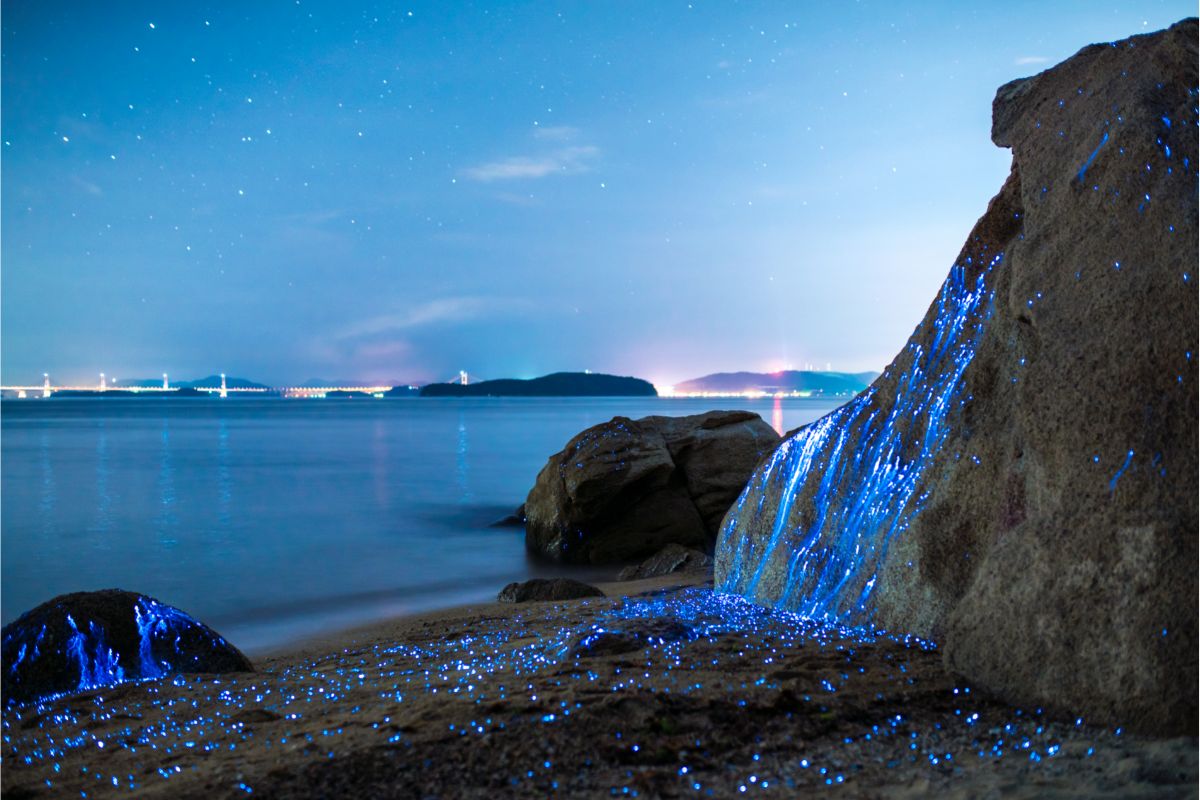 Bioluminescent Rocks
