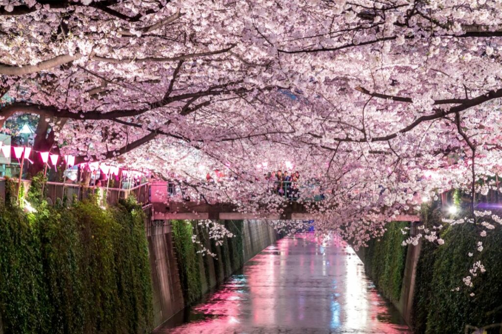 25 Most Beautiful Places In Japan (You Might Be Shocked) - Just About Japan