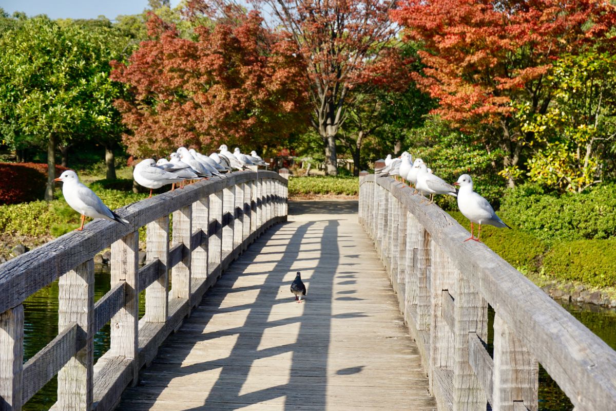 Shirotori Garden 