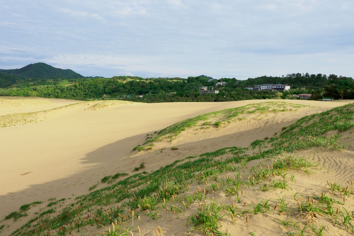 Tottori Sand Dunes 