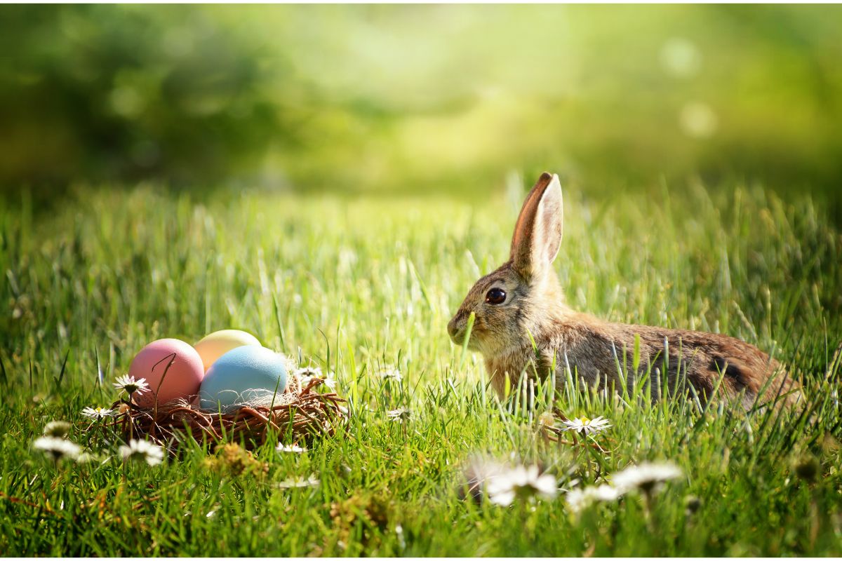 does-japan-celebrate-easter-just-about-japan