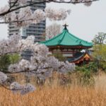 Oldest Places In Japan That You Can Still Visit