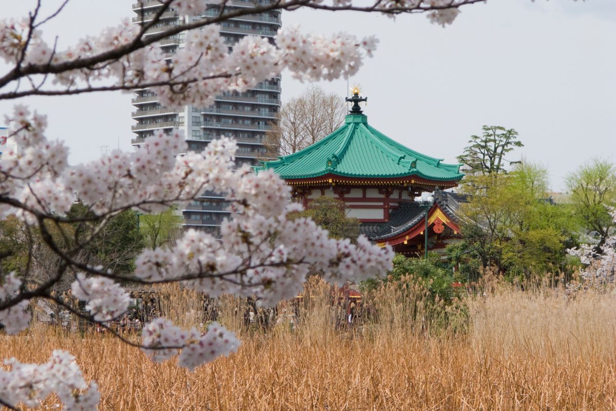 Oldest Places In Japan That You Can Still Visit
