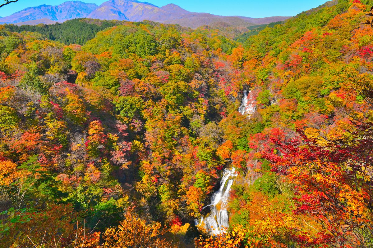 You Need To Visit Nikko To See The Best Of Japan
