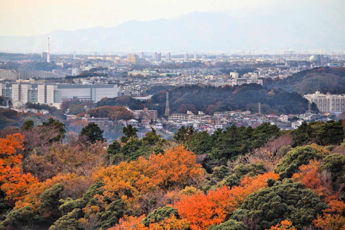 Are You Allowed to Swim in Kamakura