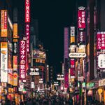 How Many Types Of Visas Are There In Japan?