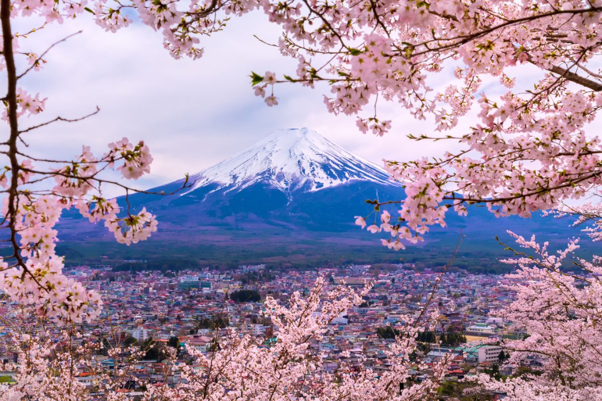 Which City Is The Closest To Mt Fuji?