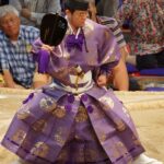 The Complete History of Traditional Japanese Sports