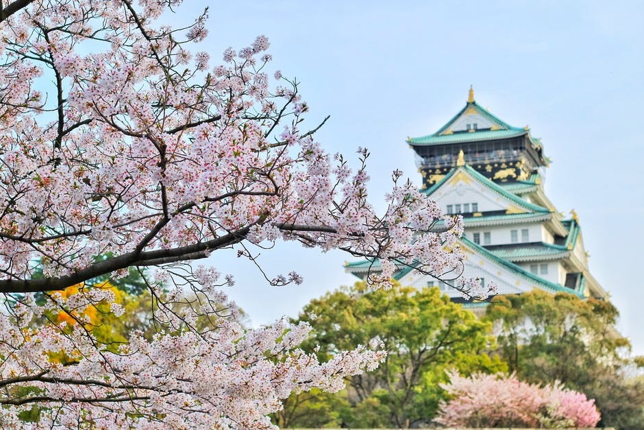 nature in japan