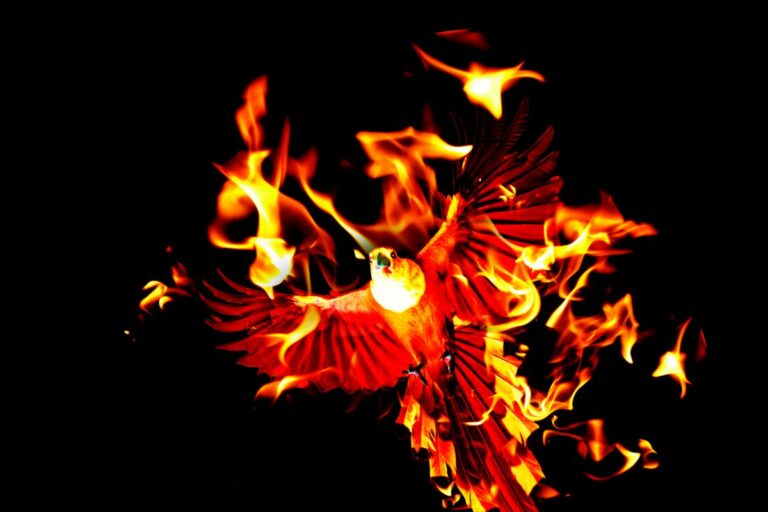 Is The Phoenix Considered A Yokai? - Just About Japan