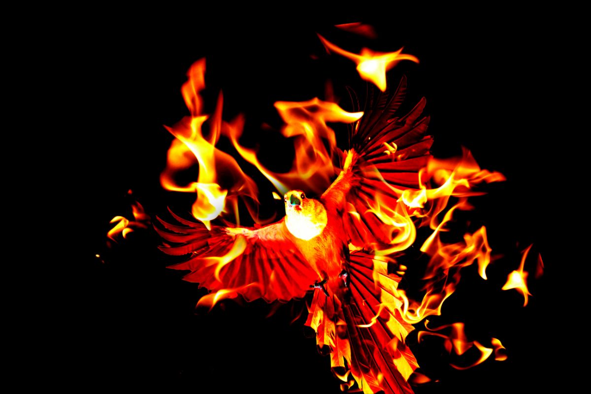 Is The Phoenix Considered A Yokai
