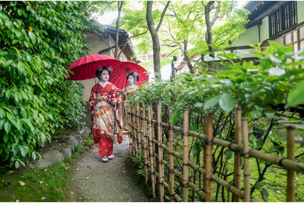 What Is The Best Way To Get A Picture Of A Geisha? 