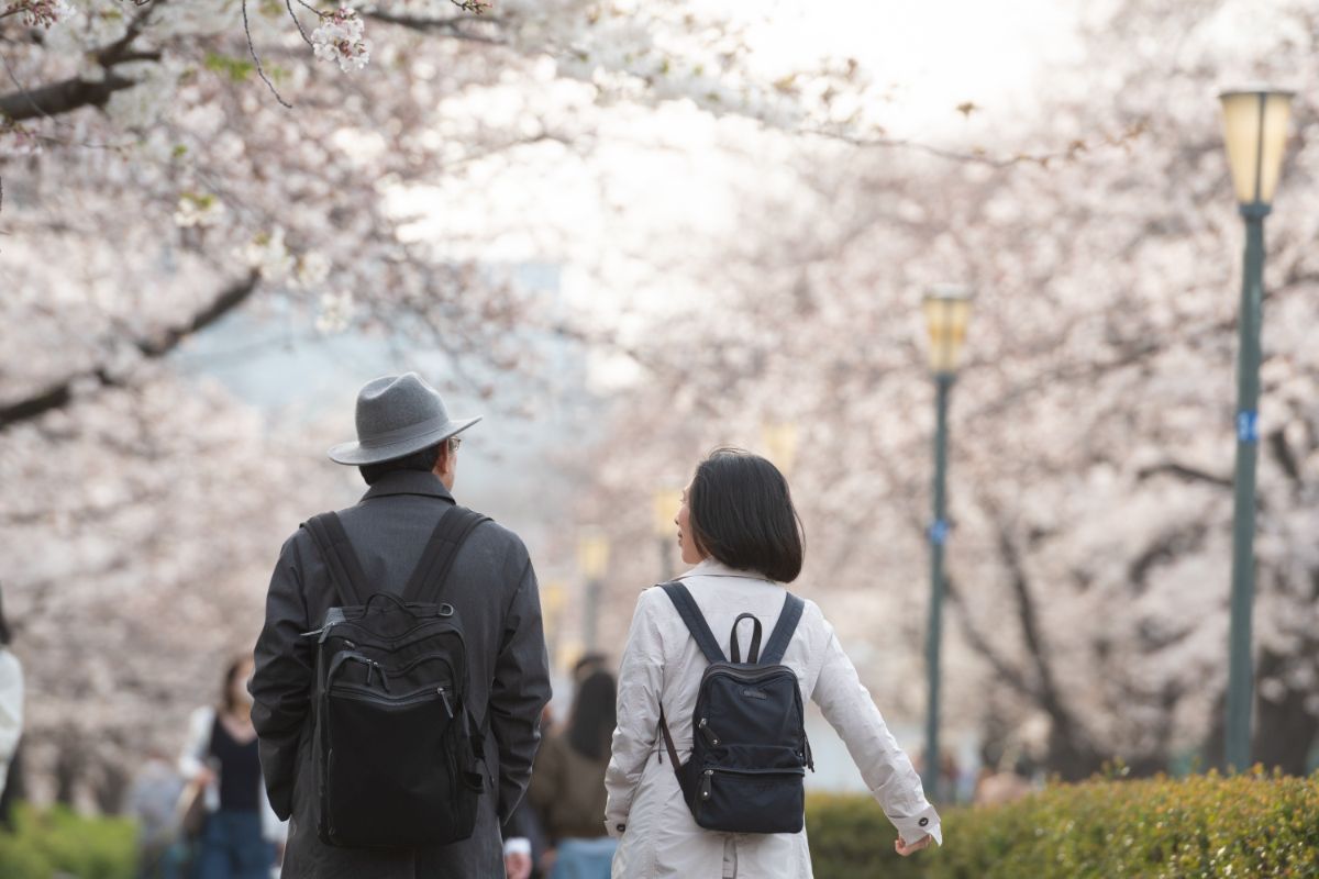 10 Best Locations For Hanami (1)