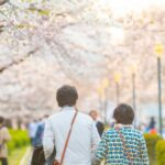10 Best Locations For Hanami