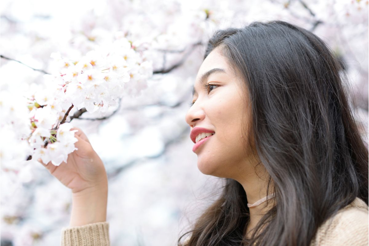 What Do Cherry Blossoms Smell Like