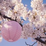 What Is Hanami? A Complete Guide To The Japanese Cultural Experience