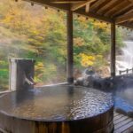 Heiwajima Onsen Travel Guide