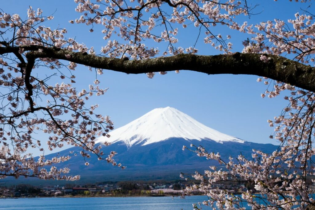 When is spring in japan just about japan