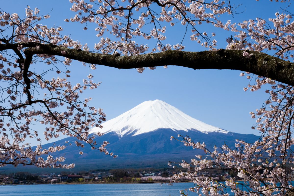 When Is Spring In Japan Just About Japan